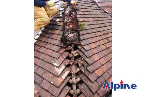 Roofing Repairs