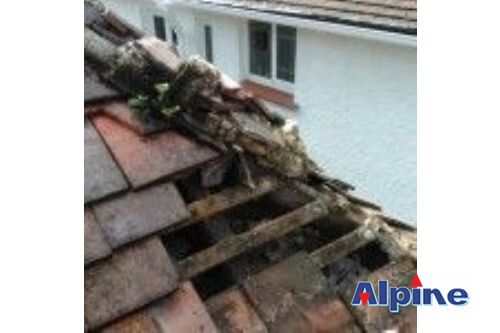 Roofing Repairs